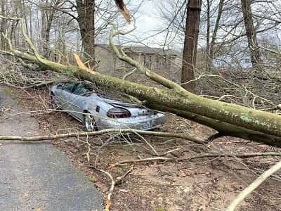 alvaton-tornado-03-03-3