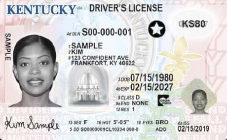 drivers-license-logo-07-31