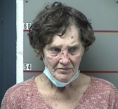 Clarkson woman has DUI wreck with 9 dogs in vehicle - Vimarsana News