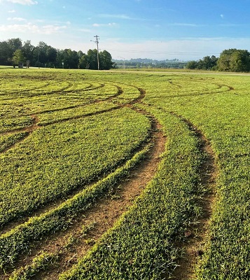 damage-to-field-lpd