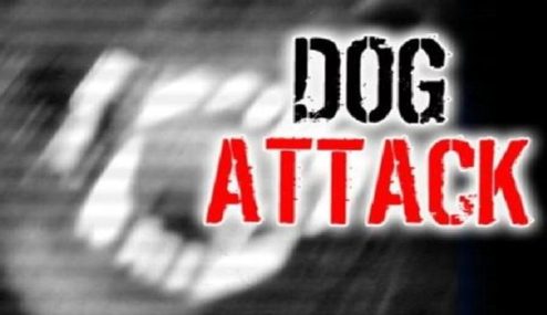 dog-attack-logo-2