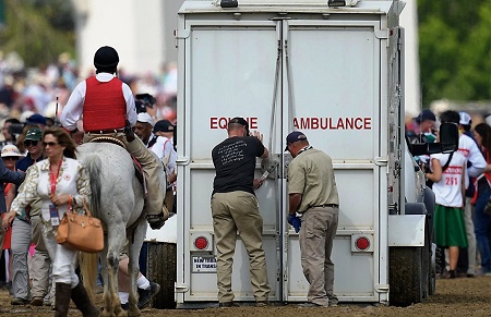 horse-dies-at-churchill-logo-ap