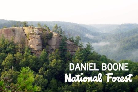 daniel-boone-natl-forest-logo