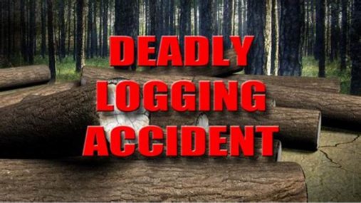 logging-accident-logo