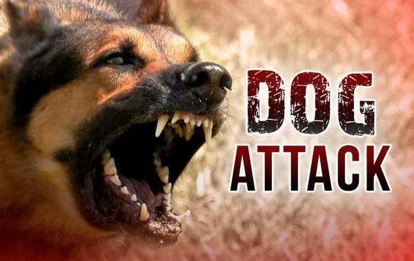 dog-attack-logo-5