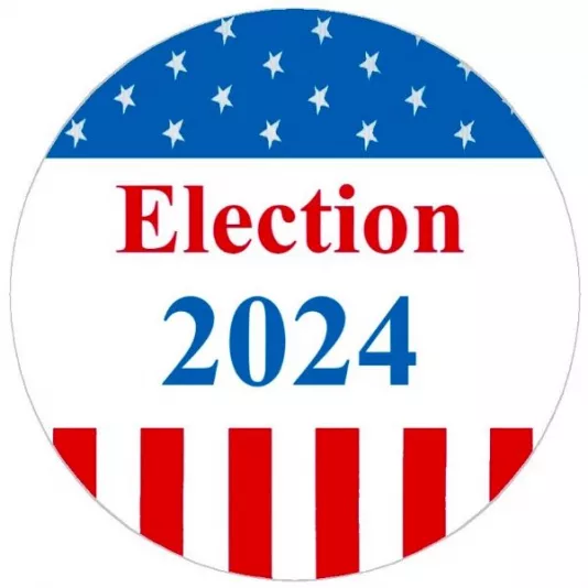 2024-general-election-logo