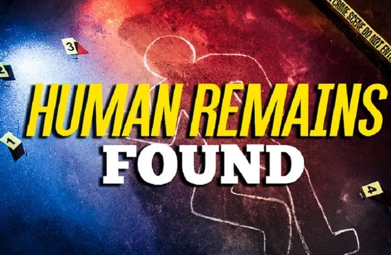 human-remains-found-2