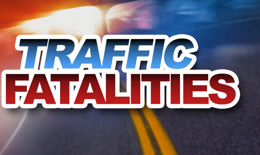 traffic-fatalities-logo-2