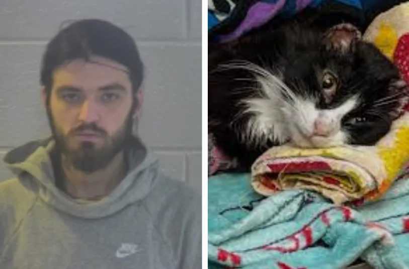 robbins-and-injured-cat