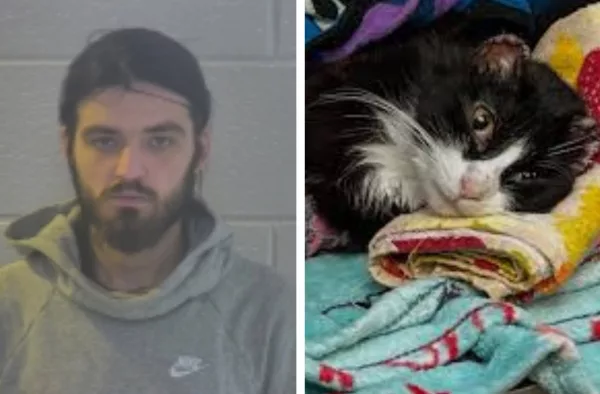 robbins-and-injured-cat