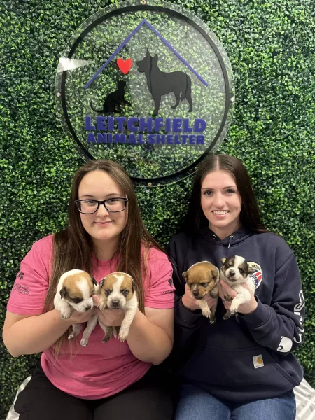 leitchfield-animal-shelter-2