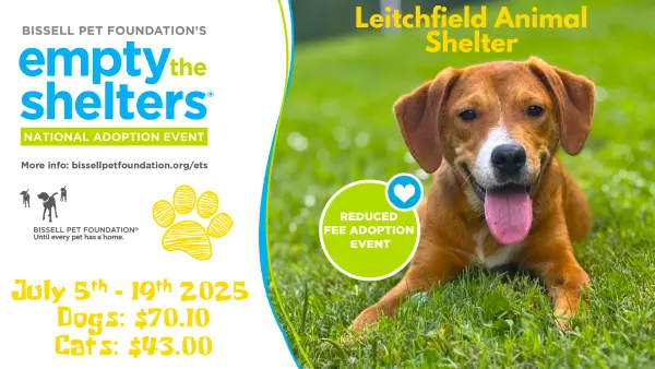 las-adoption-special-logo