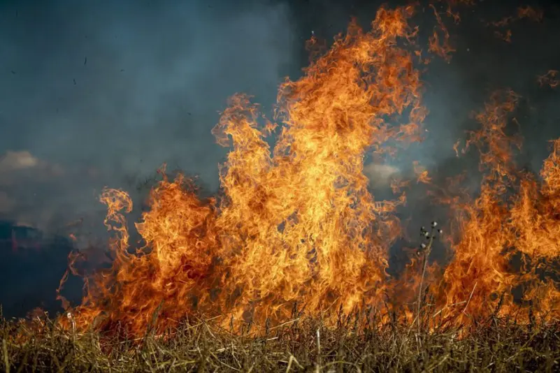 burn-ban-logo-4