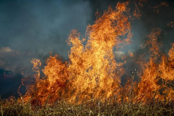 burn-ban-logo-4