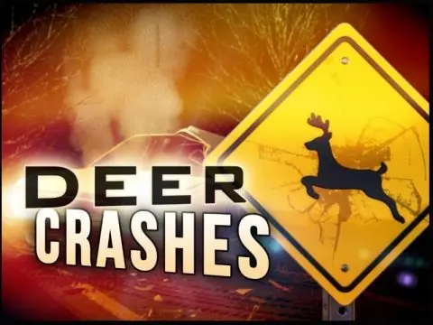 deer-crash-logo
