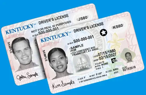 driver-license-logo