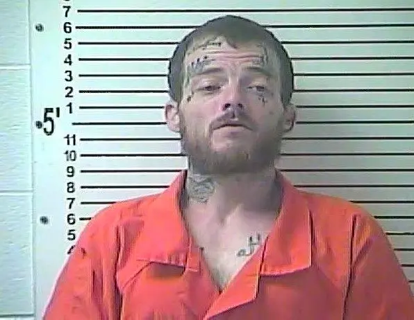 dylan-welch