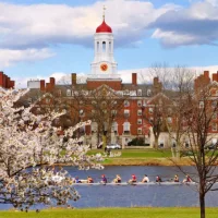 Harvard University^ taken during the spring