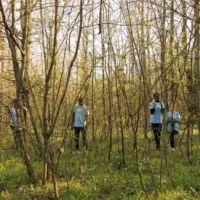 Team of lifesavers rescuers searching for a missing person^ calling their name in the forest and going through the trees to track footsteps. Search squad members looking for a lost victim.