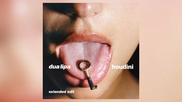 m_dualipahoudiniextended_120123134995