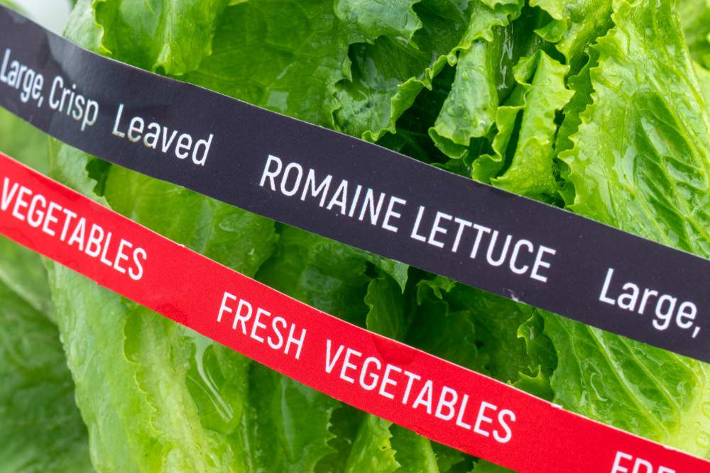 E.Coli Outbreak: CDC Issues Warning Against Consumption Of Romaine ...