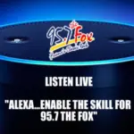 foxalexa640x375