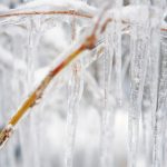 tmp9f8b0060-7e3c-4cbc-996f-0ab58160e0bc-jpg