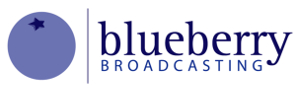 blueberry-banner-300-x-90