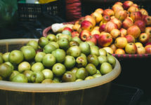 apple-fruit-hands-market-preview