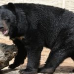 shutterstock_40384546