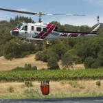 shutterstock_308147726729326