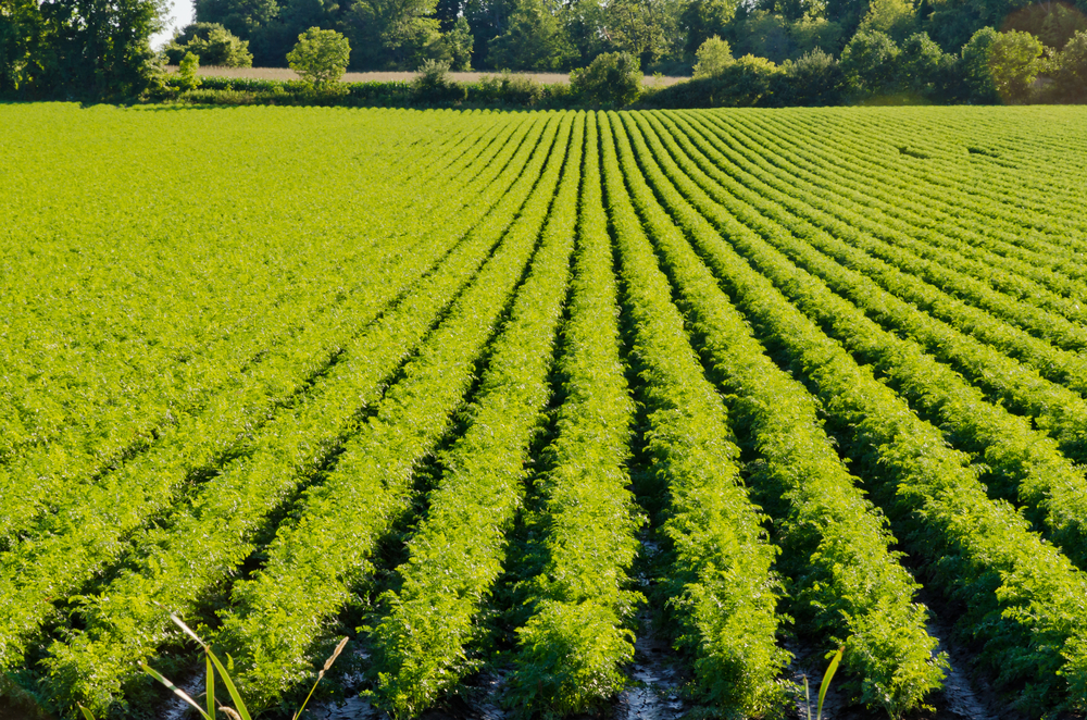 tmpc2c42da0-2e46-483d-9c26-7f6ebd9b4029-jpg