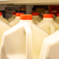 gallons of milk