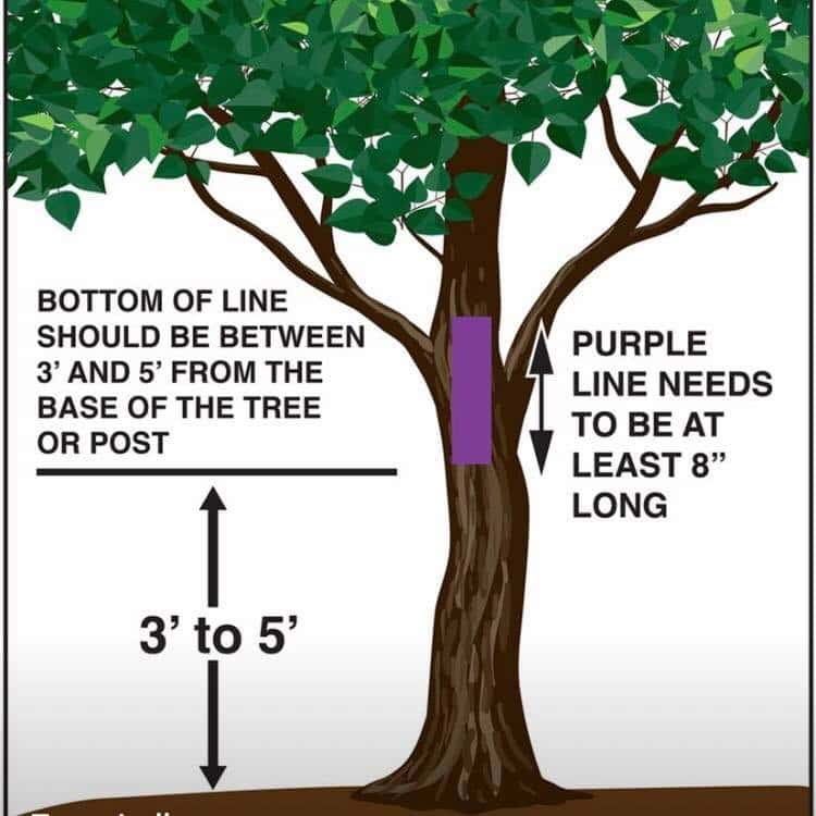 Purple Paint Means Stay Out 92.7 The Rock