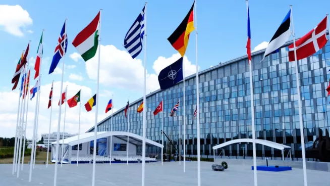 shutterstock_1133280740706103