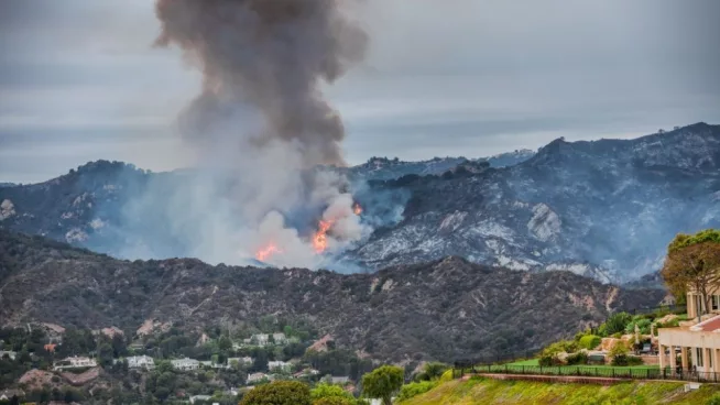 Pacific Palisades^ California - May 16^ 2021: Palisades fire burning through Topanga Canyon.