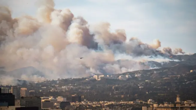 Wildfire in Pacific Palisades^ Los Angeles^ January 8^ 2025^ towards Getty Center and Brentwood. Images showcase dense smoke clouds^ burning hillsides^ and urban areas at risk. 2pm - 3pm.