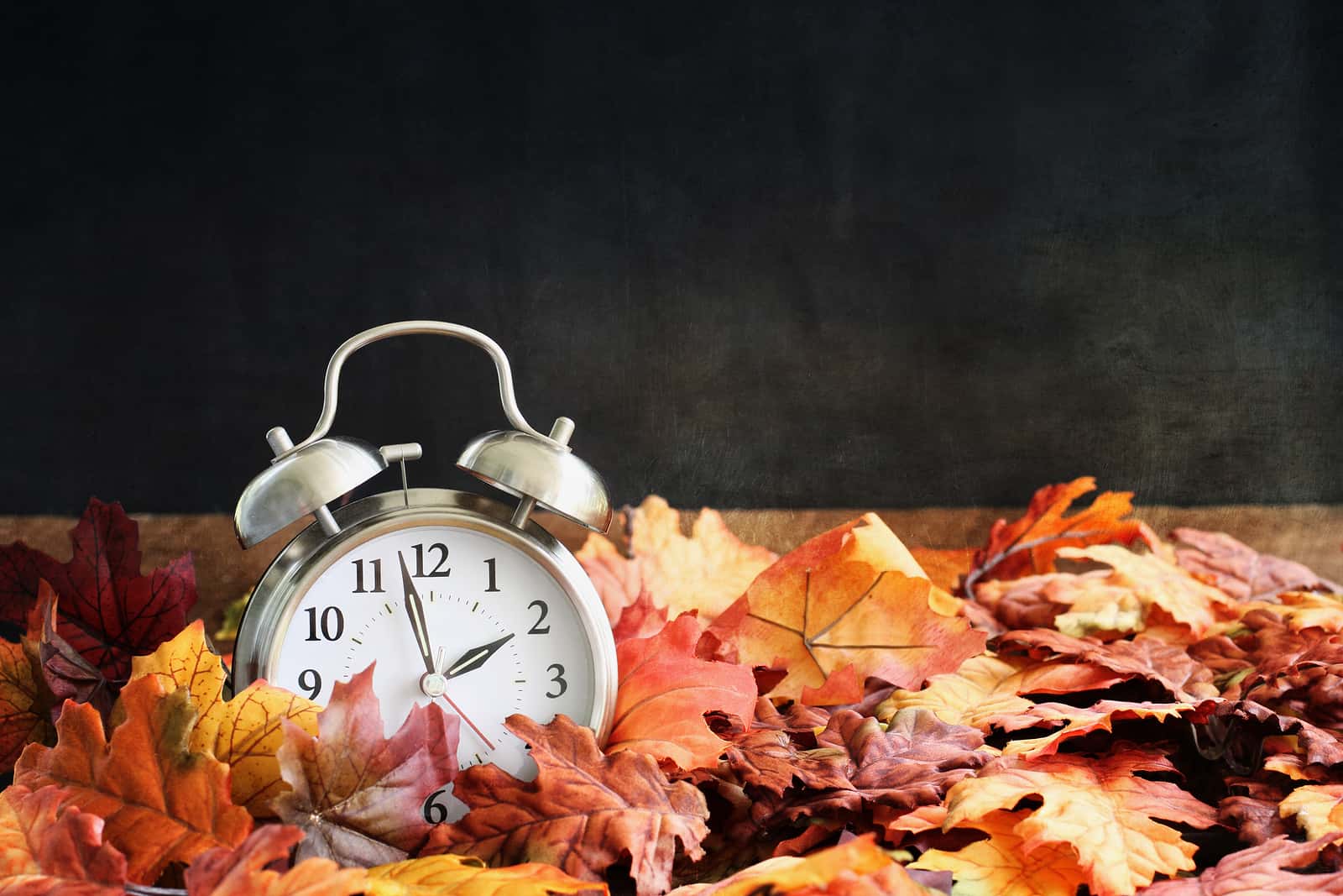 alarm-clock-in-colorful-autumn-leaves-against-a-dark-background