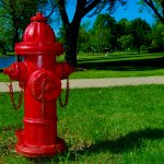 red-fire-hydrant-in-park