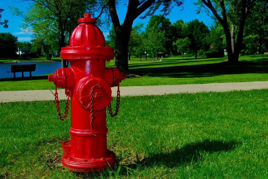 red-fire-hydrant-in-park