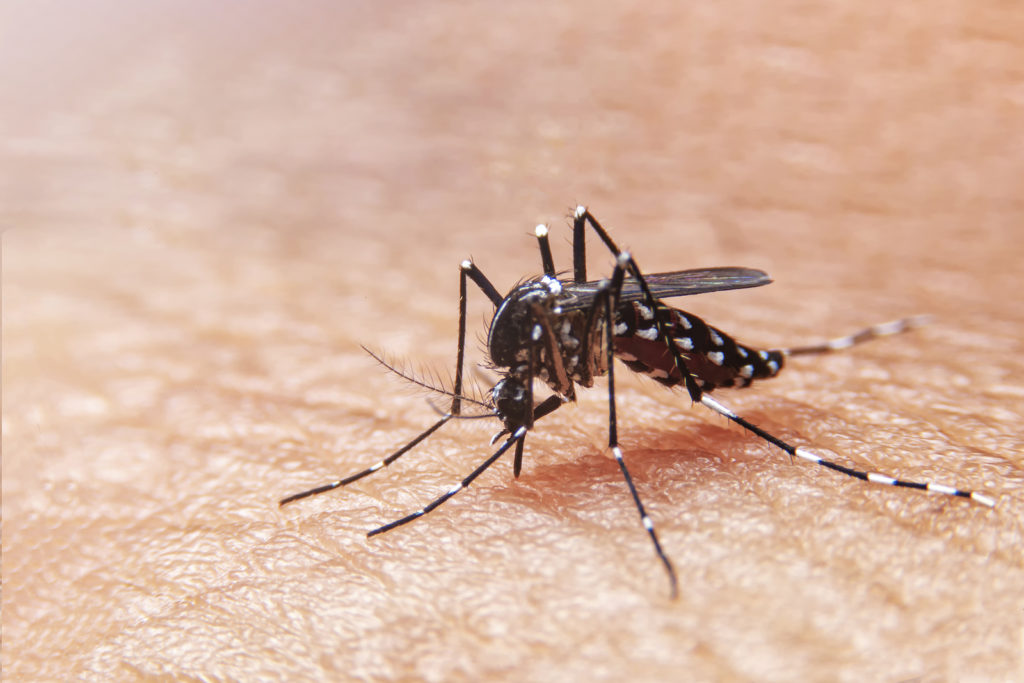 Michigan Mosquitoes have Tested Positive for Jamestown Canyon Virus