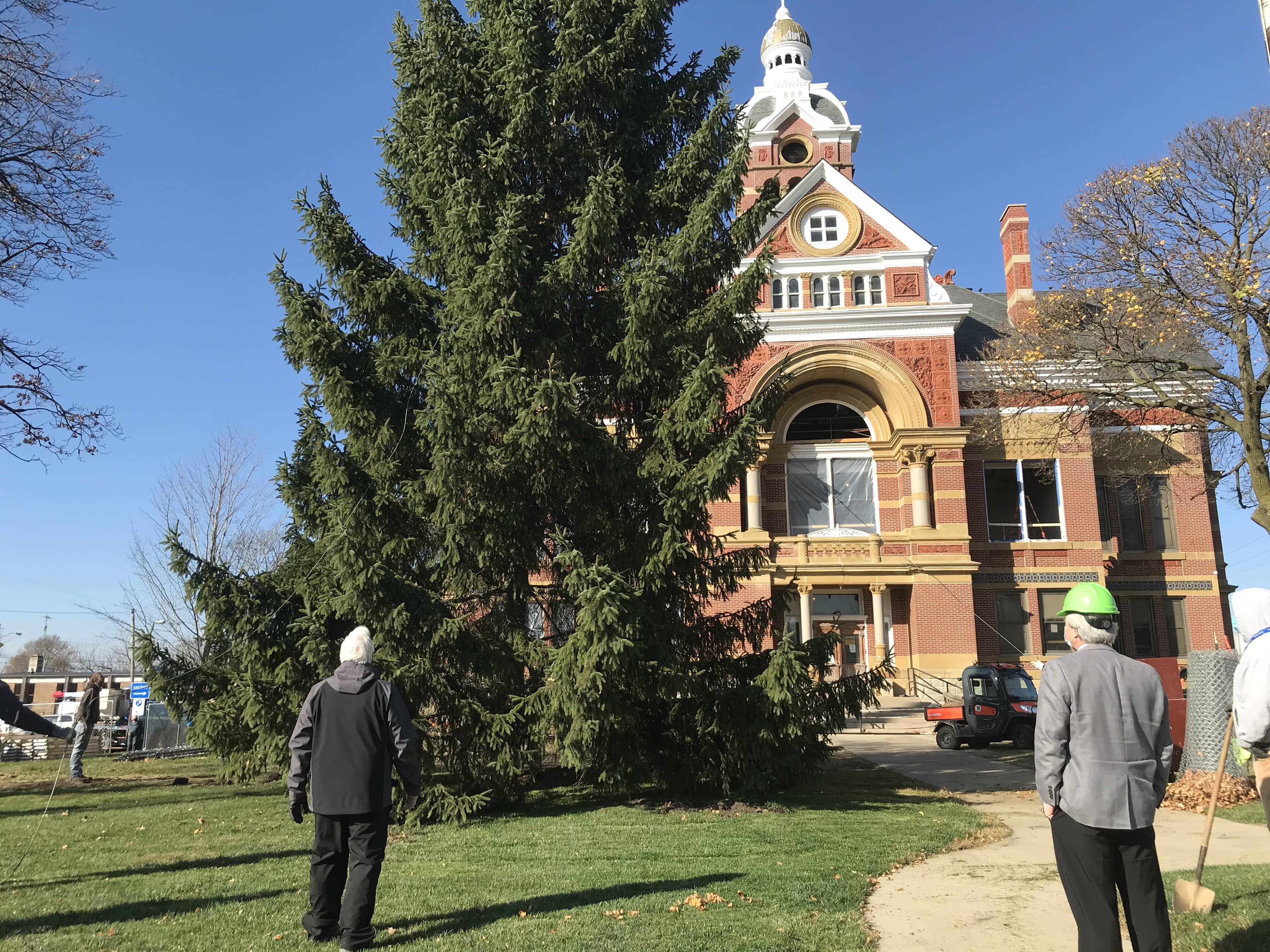 city-county-tree-11-12-20