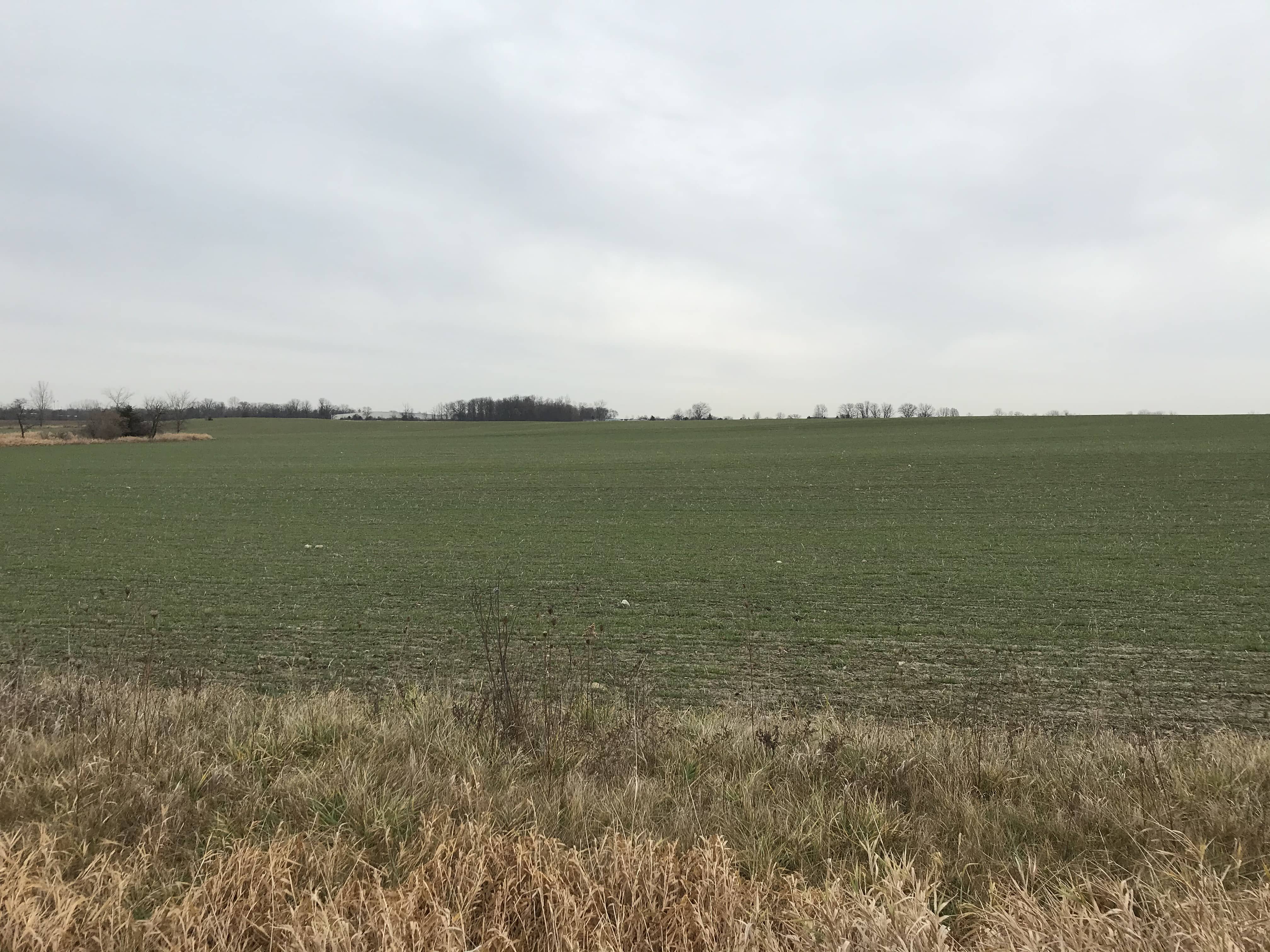 sand-creek-hwy-pot-farm-11-24-20