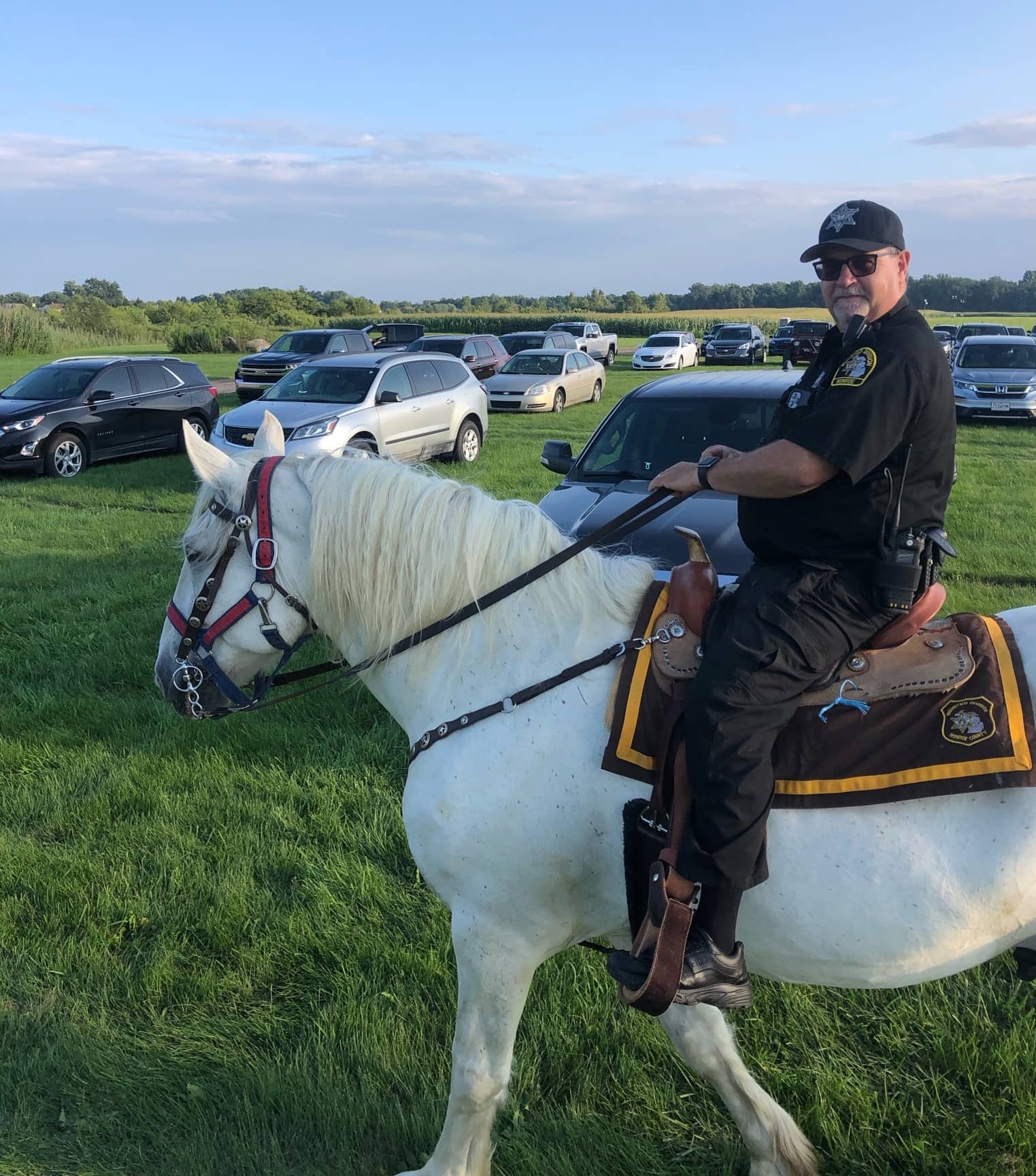 mounted-division-horse