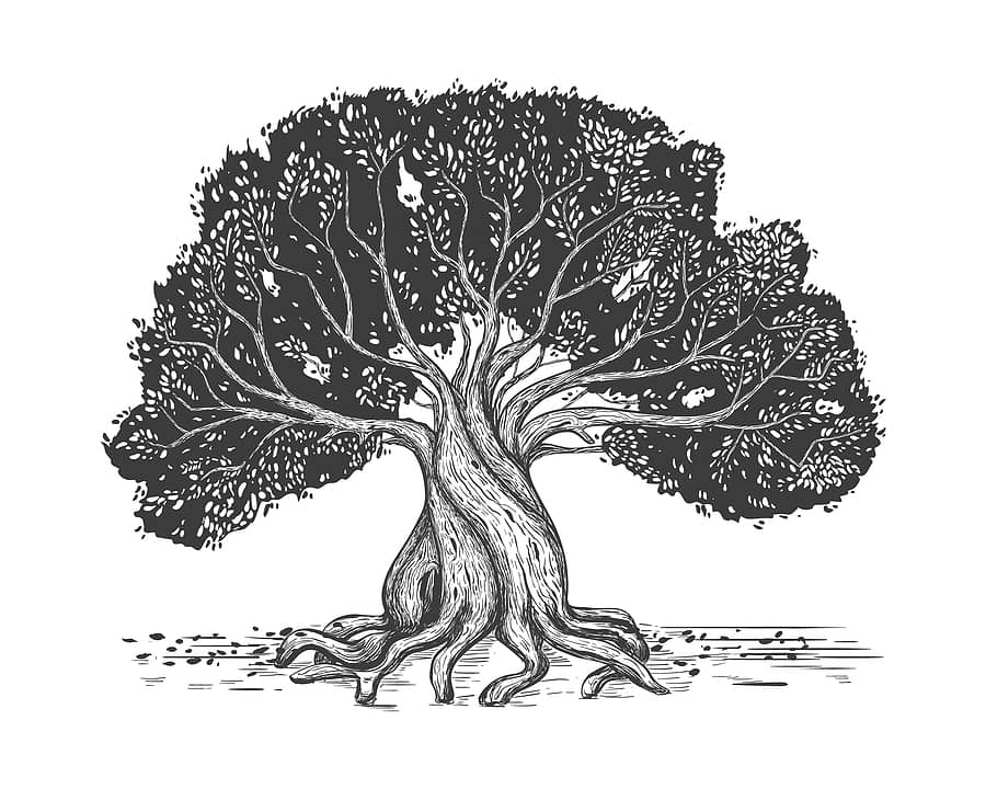 family-tree-hand-drawn-sketch-print-genealogical-tree-stylized