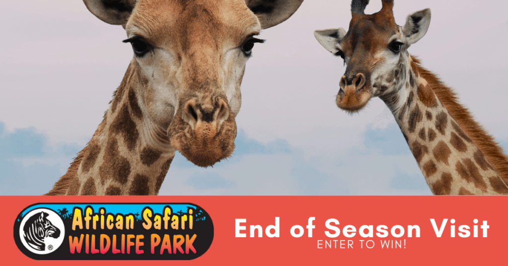 African Safari Wildlife Park Passes | WLEN-FM Radio 103.9