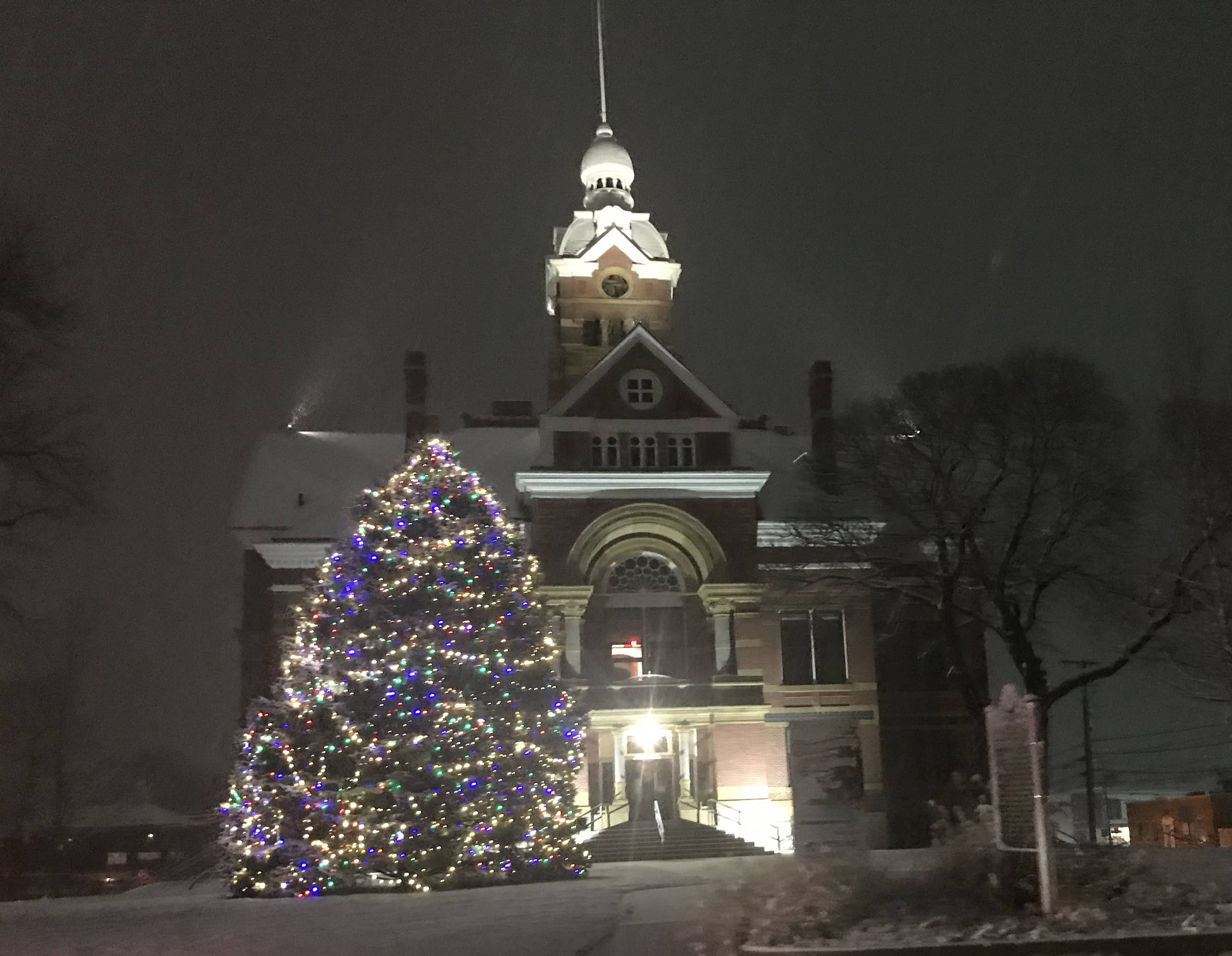 community-tree-11-29-21