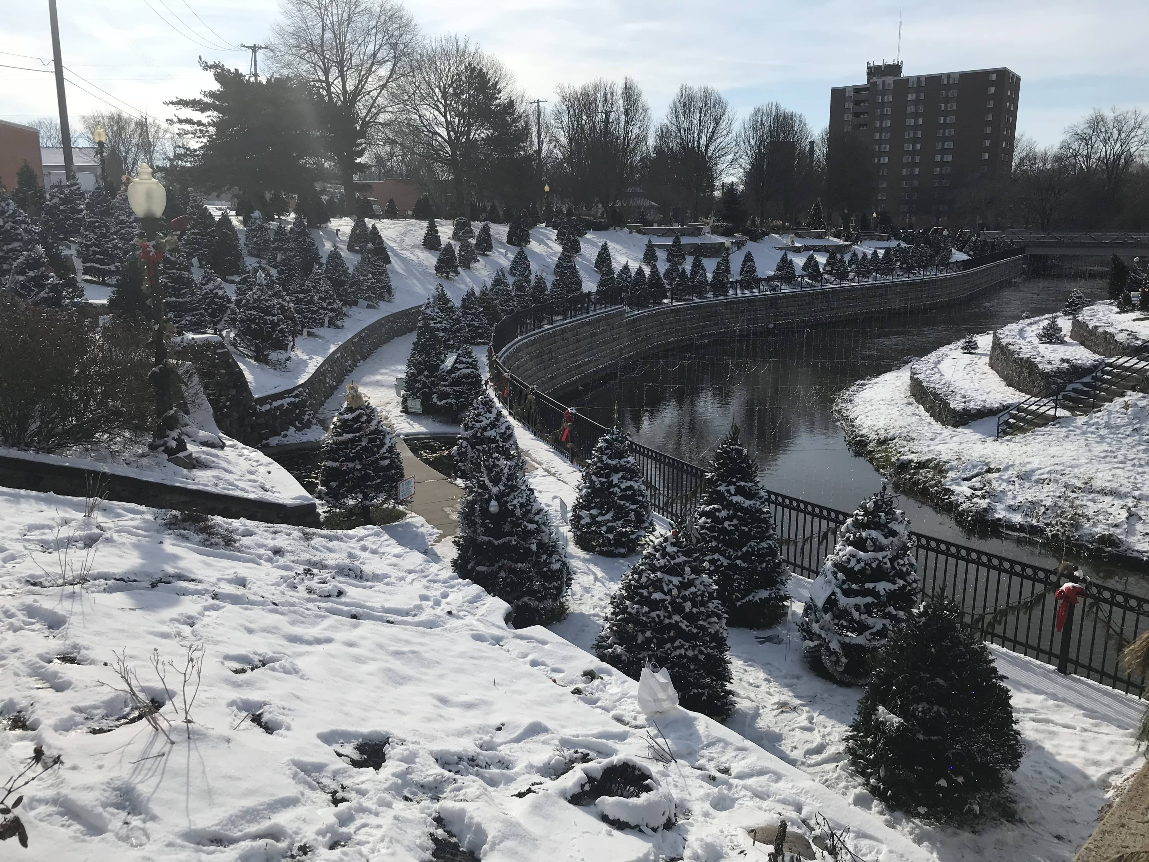 Decorations Should be Removed from Comstock Christmas Riverwalk Trees