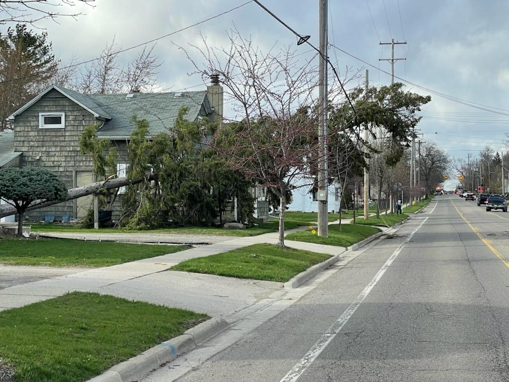 wind-blows-over-tree-on-division-st-in-adrian-4-14-22