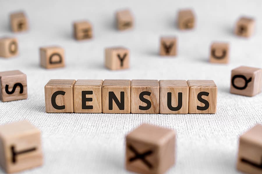 census-words-from-wooden-blocks-with-letters-official-count-o